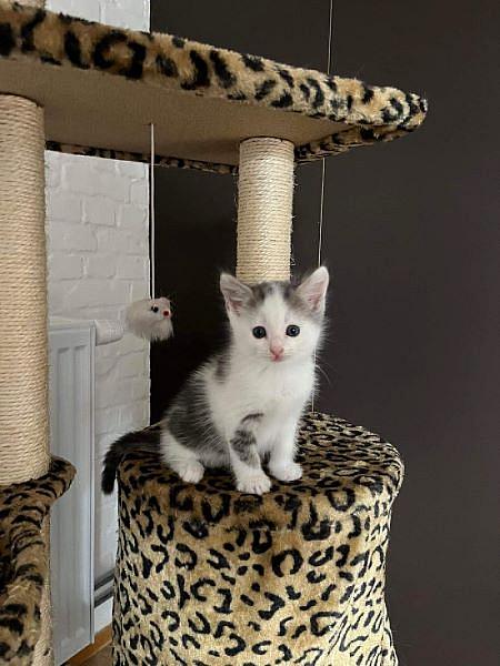 Benny