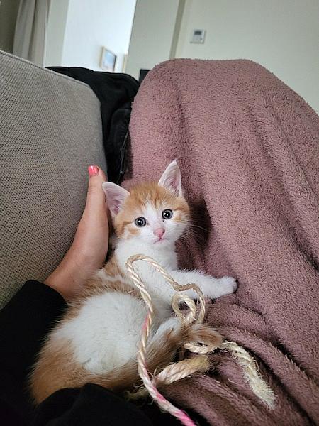 Puki