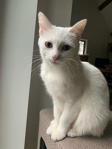 Nora