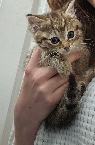 Winnie
