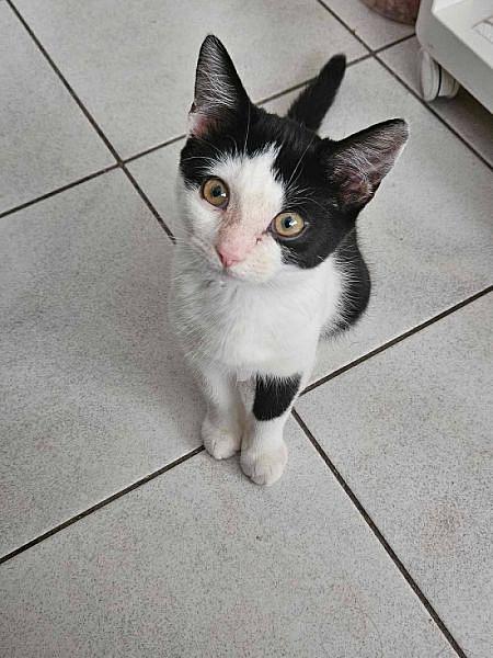 Minnie