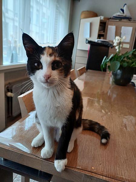 Kiki