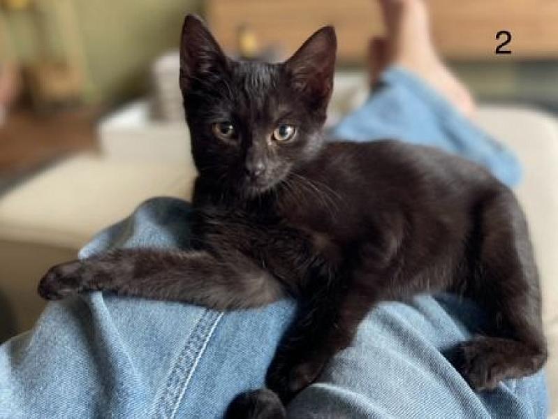Salem
