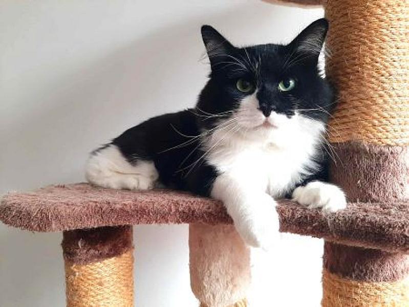 Tom