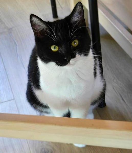 Fleur