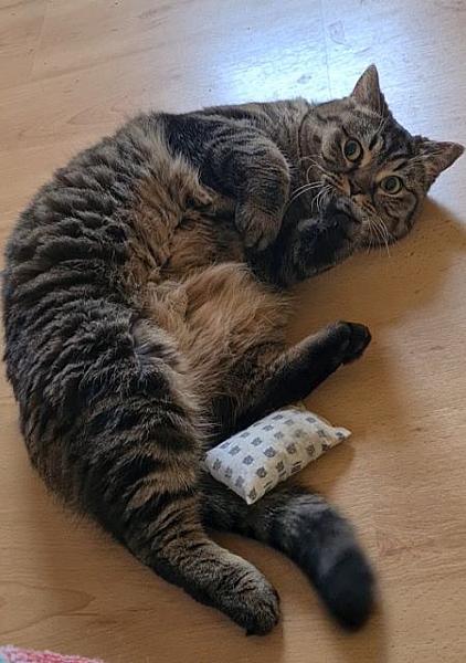 Gina