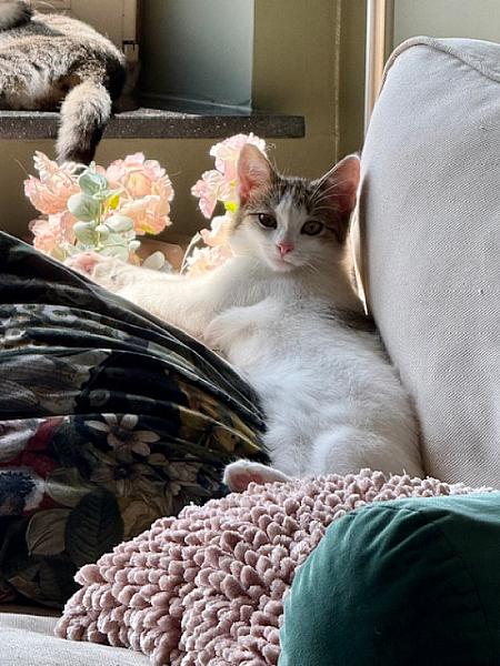 Flo