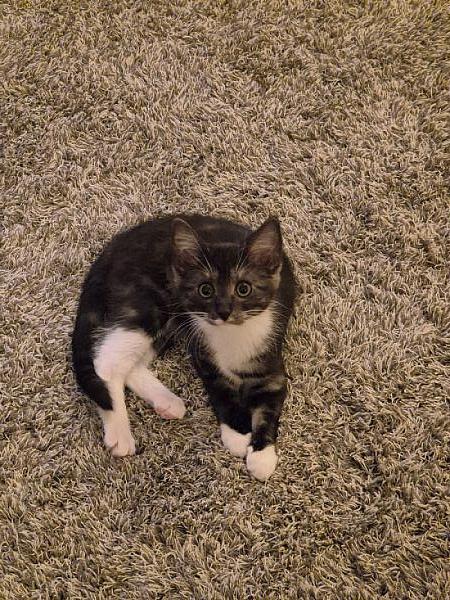 Yuki