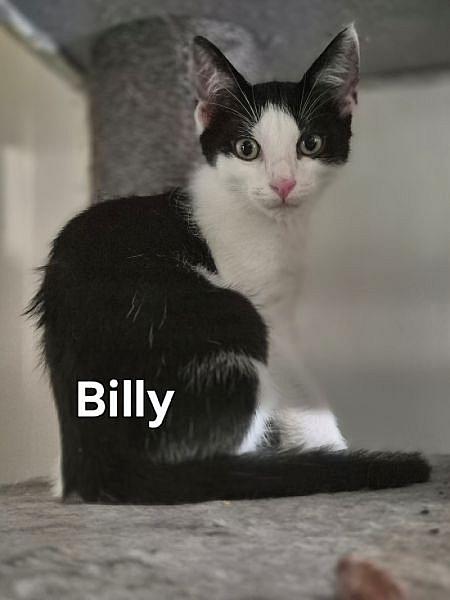 Billy
