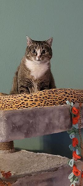 Mia