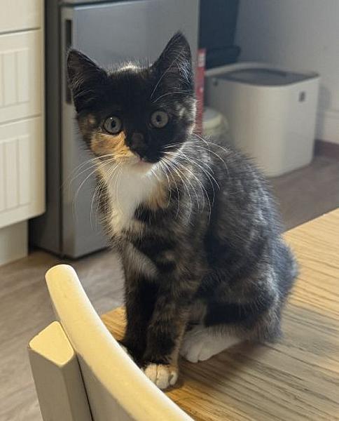 Oona