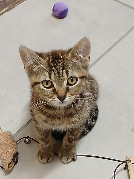 Luka