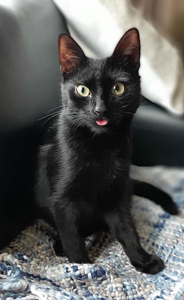 Ciska