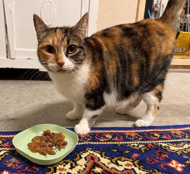 Kiki