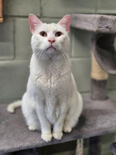 Casper