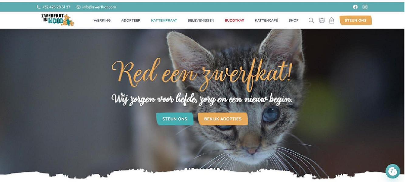Kattenpraat bericht van 2 juni 2026