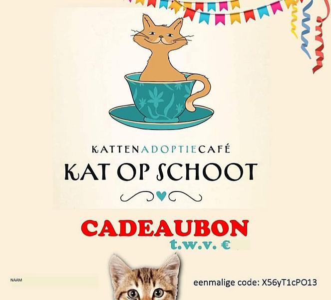 Kattenpraat bericht van 2 juni 2026