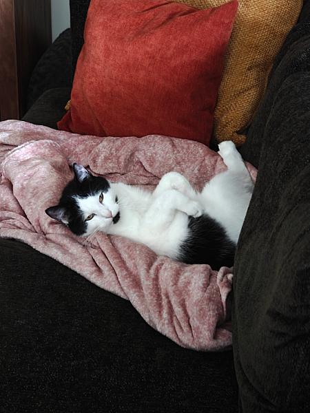 Max