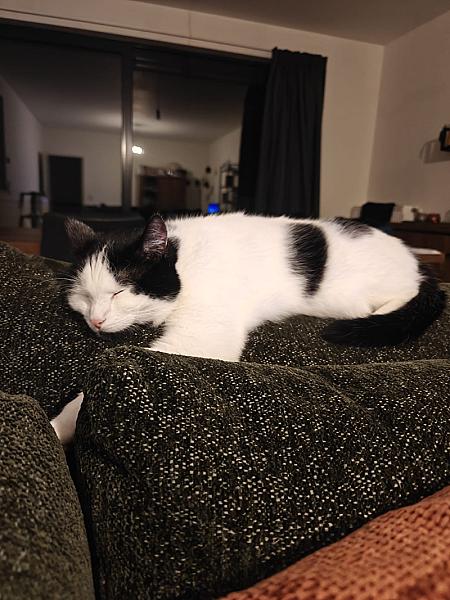 Max