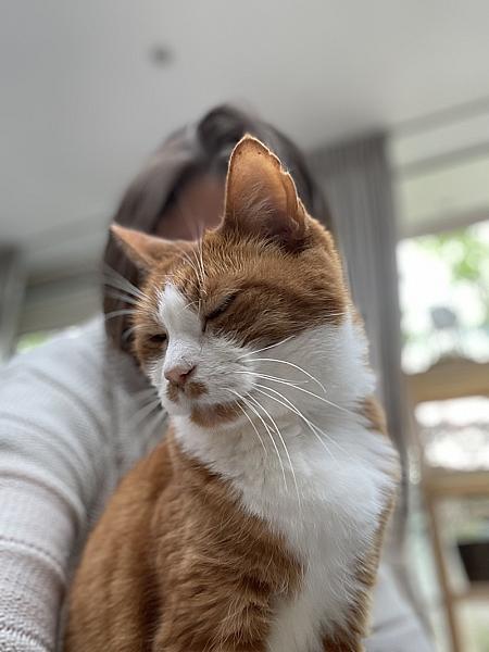 Rambo