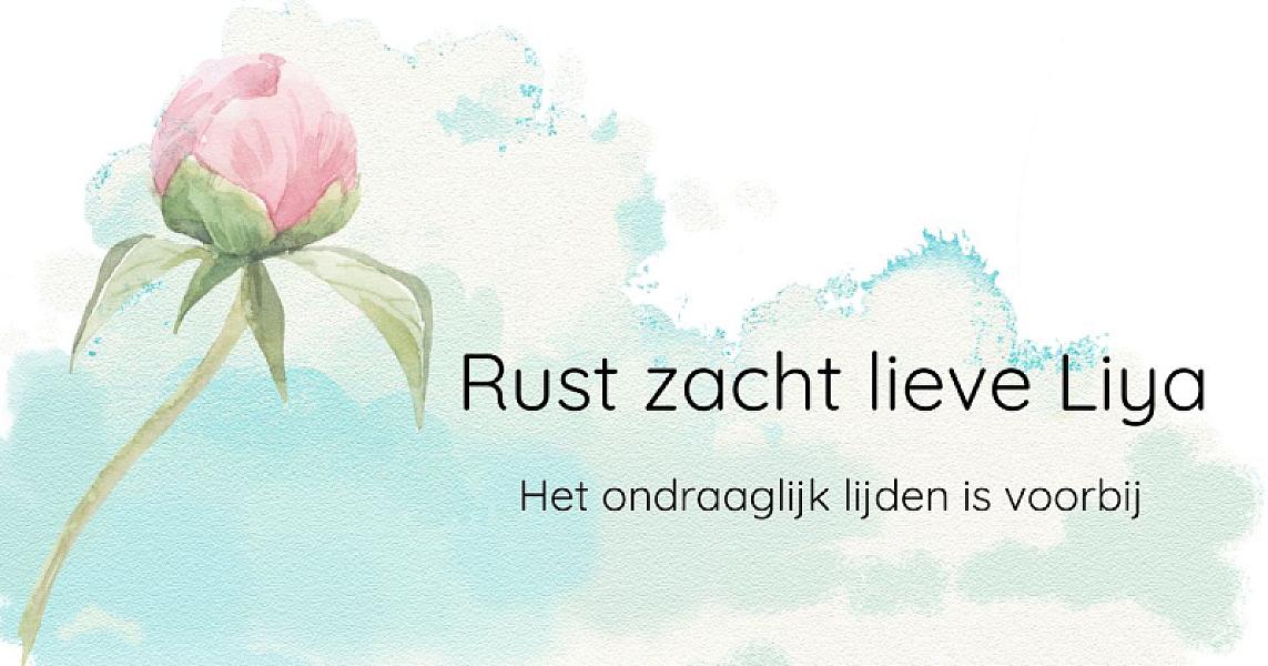 Kattenpraat bericht van 2 juli 2026