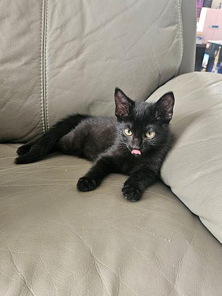 Astro