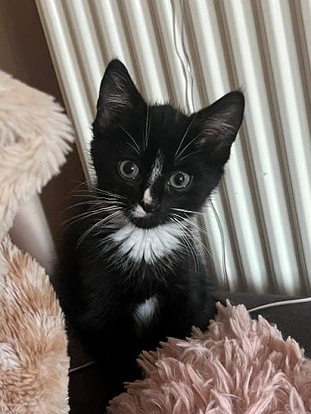 Skye