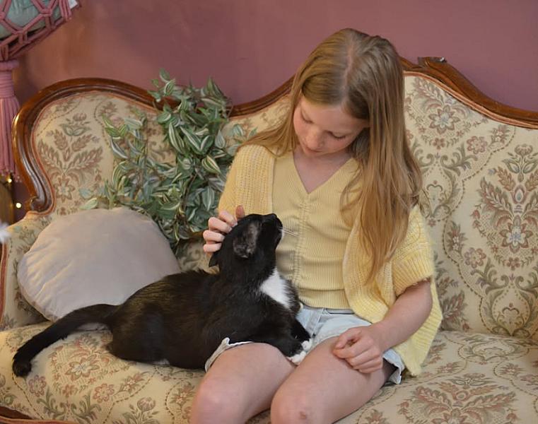 Kattenpraat bericht van 18 juli 2026
