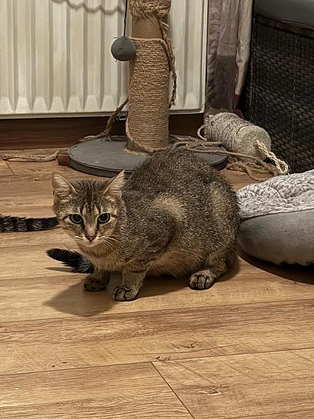 Xena
