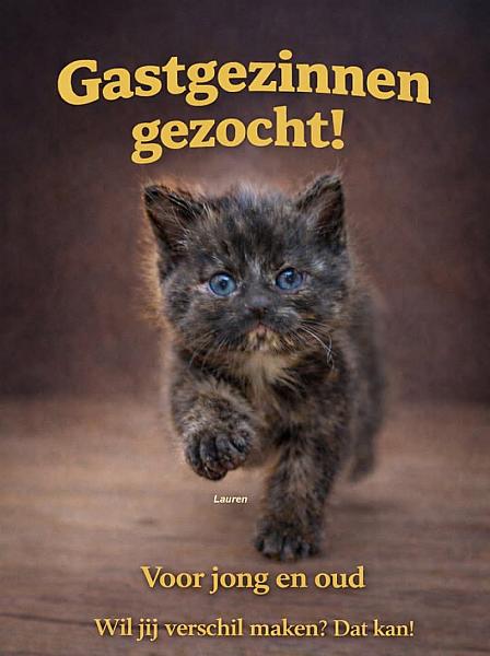 Kattenpraat bericht van 28 juli 2026