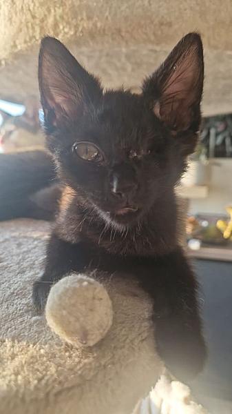 Coco