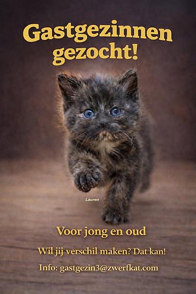 Kattenpraat bericht van 3 augustus 2026