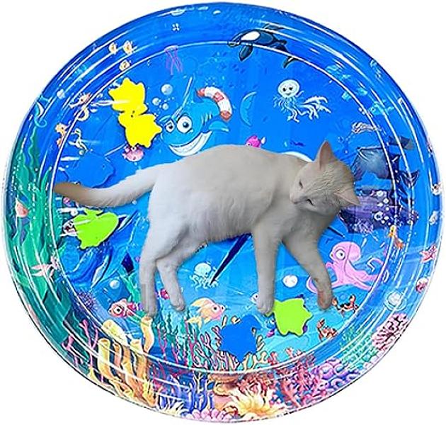 Speel- en koelmat voor de kat groot