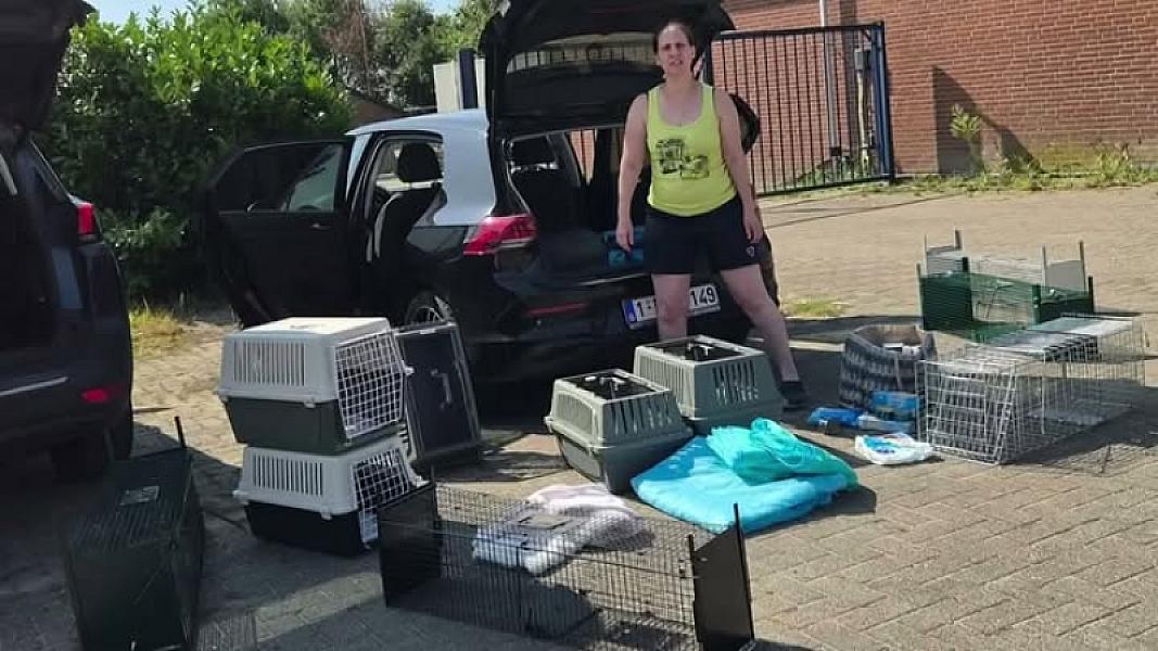 Kattenpraat bericht van 5 augustus 2026