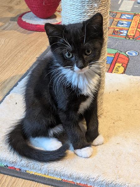 Lou