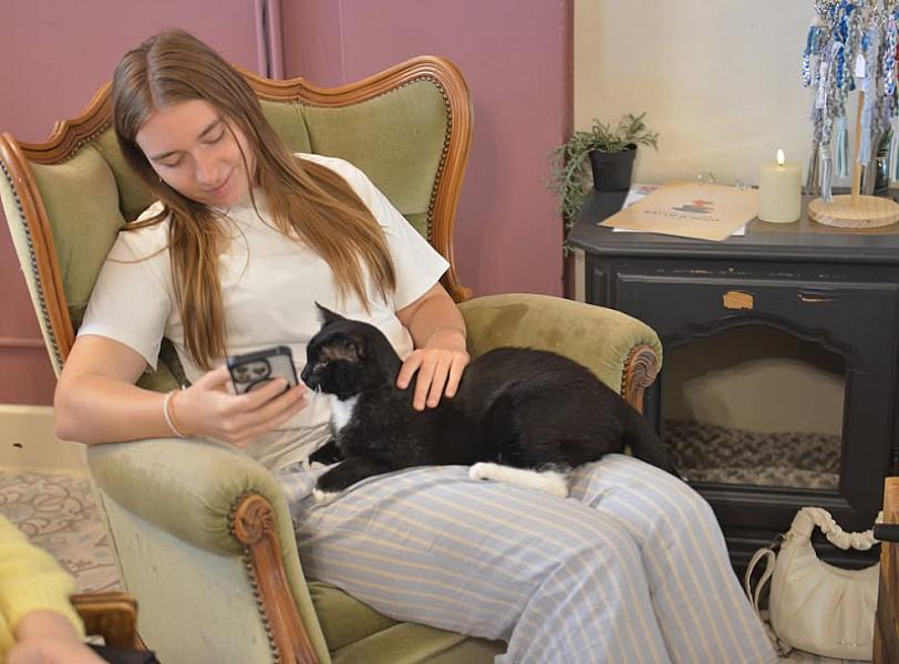 Kattenpraat bericht van 2 september 2026