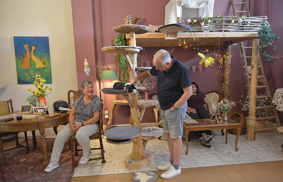 Kattenpraat bericht van 5 september 2026