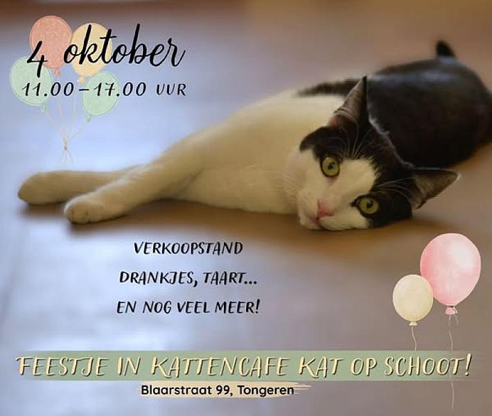 Kattenpraat bericht van 8 september 2026