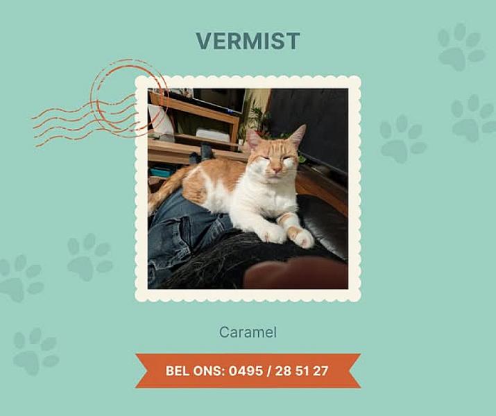 Kattenpraat bericht van 14 september 2026