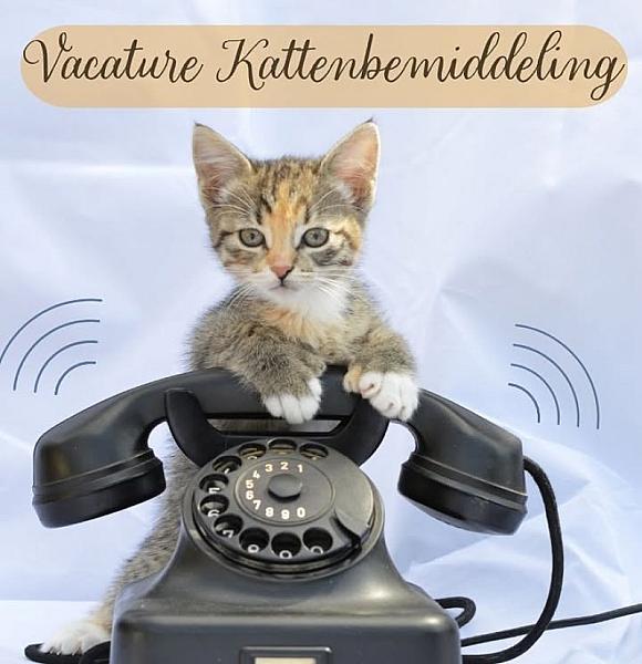 Kattenpraat bericht van 20 september 2026