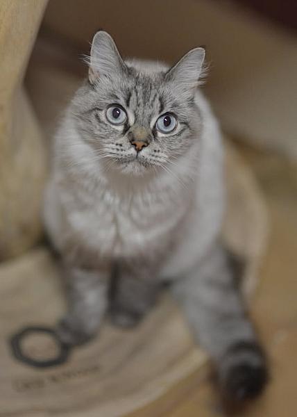 Kattenpraat bericht van 30 september 2026