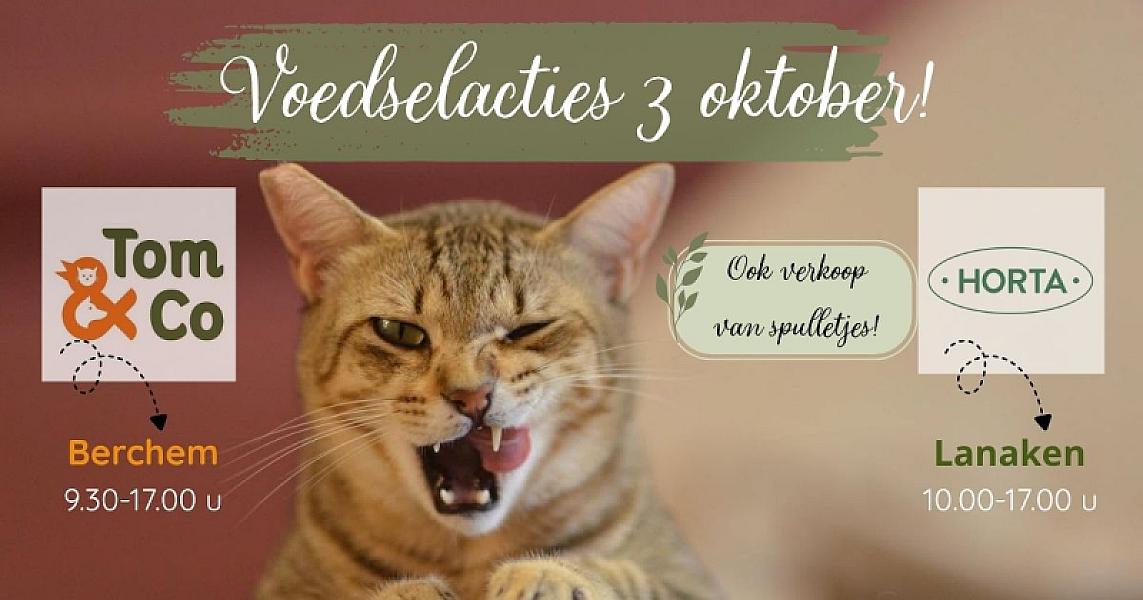 Kattenpraat bericht van 2 oktober 2026