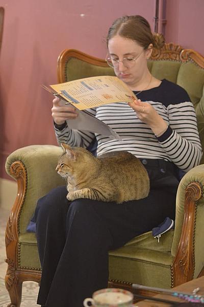 Kattenpraat bericht van 21 oktober 2026