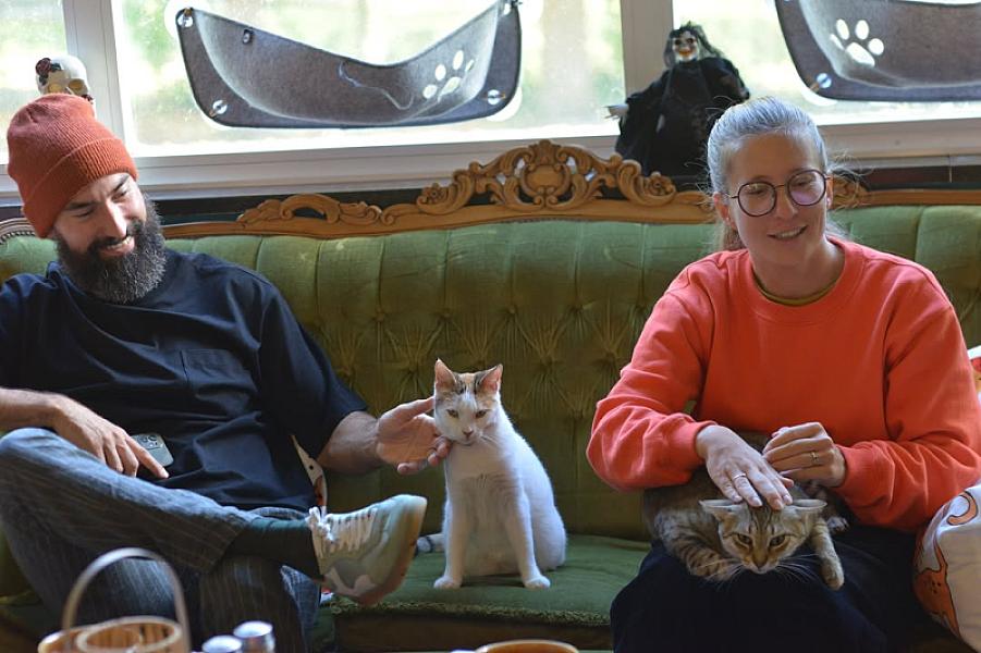 Kattenpraat bericht van 28 oktober 2026