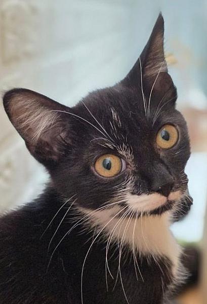 Coco