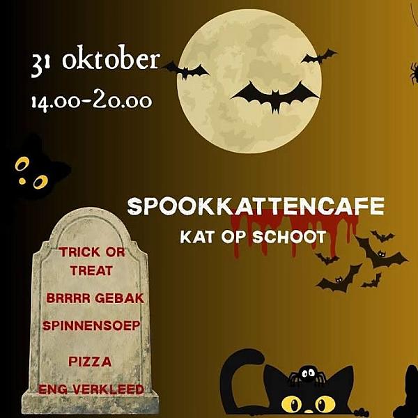 Kattenpraat bericht van 31 oktober 2026